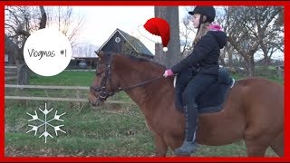 Vlogmas Op Buitenrit Met Marron Naar Saartje En Silver Horsetime