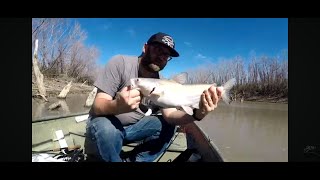 White Bass Run 2024 - Frio River, Texas