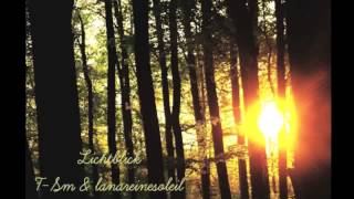 T Sm feat. lanareinesoleil - Lichtblick