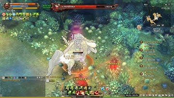 Tree Of Savior Game Play 20181203 05 39 21 627