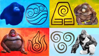 The Four Elements Of Monke