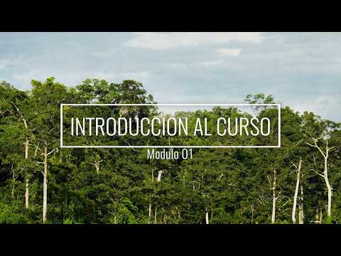 Modulo 01   Introducción