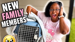     Our Family Got Bigger 🥹 | Productive Mom Vlog