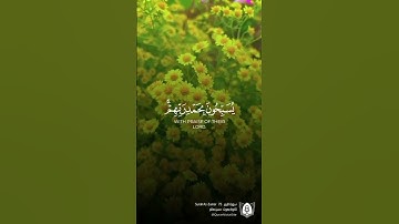 #تلاوة من #سورة_الزمر بصوت #حسن_صالح #قرآن #قرآن_كريم #آيات #استغفرالله #الحمدلله #quran
