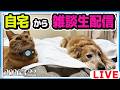 おやつでも食べながら雑談ライブ！