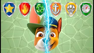 PAW Patrol Tracker | Match the Face screenshot 3
