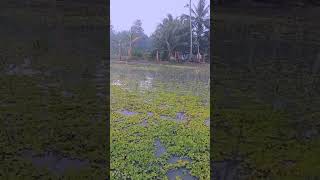 Download Lagu Ganipo esthetische #sorotan #fyp #natuur #bloemen #jangkauanluas #semuaorang MP3 Download Lagu Ganipo esthetische #sorotan #fyp #natuur #bloemen #jangkauanluas #semuaorang MP3