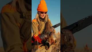 GUN DOG's 'Wild Upland' Episode 8  South Dakota Pheasants