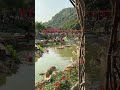 Ocean Vibes in a Hidden Garden – Relaxing Water and Nature Escape