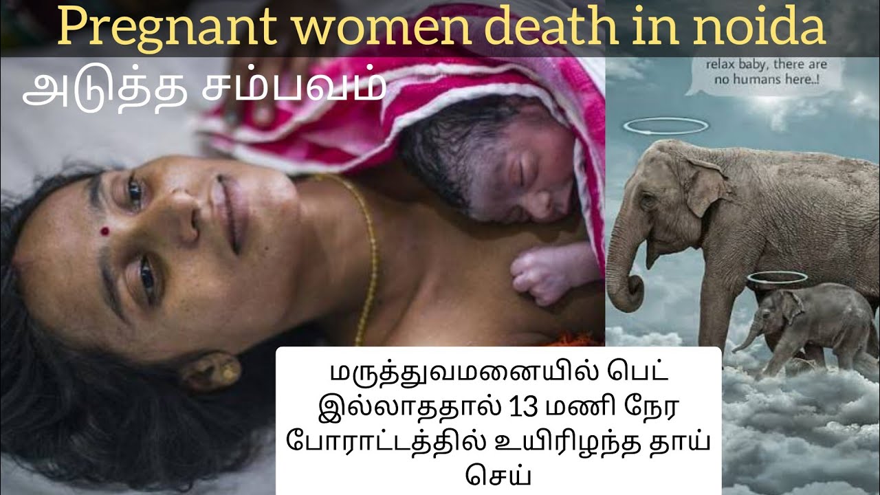 Pregnant women dies after 13 hours | Noida | Tamil | mukesh | world ...