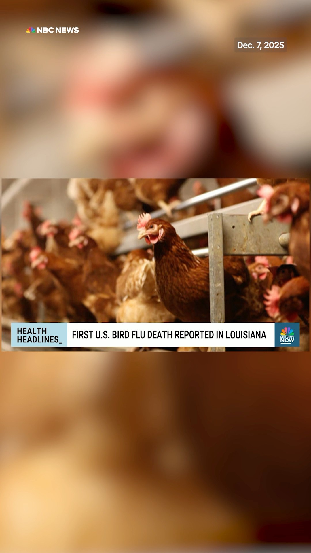 The U.S. has recorded it's first bird flu death. Here's what it means for public health in America.