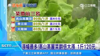 颱風恐「回馬槍」!菜價上漲 高山高麗菜漲幅最高|三立新聞台