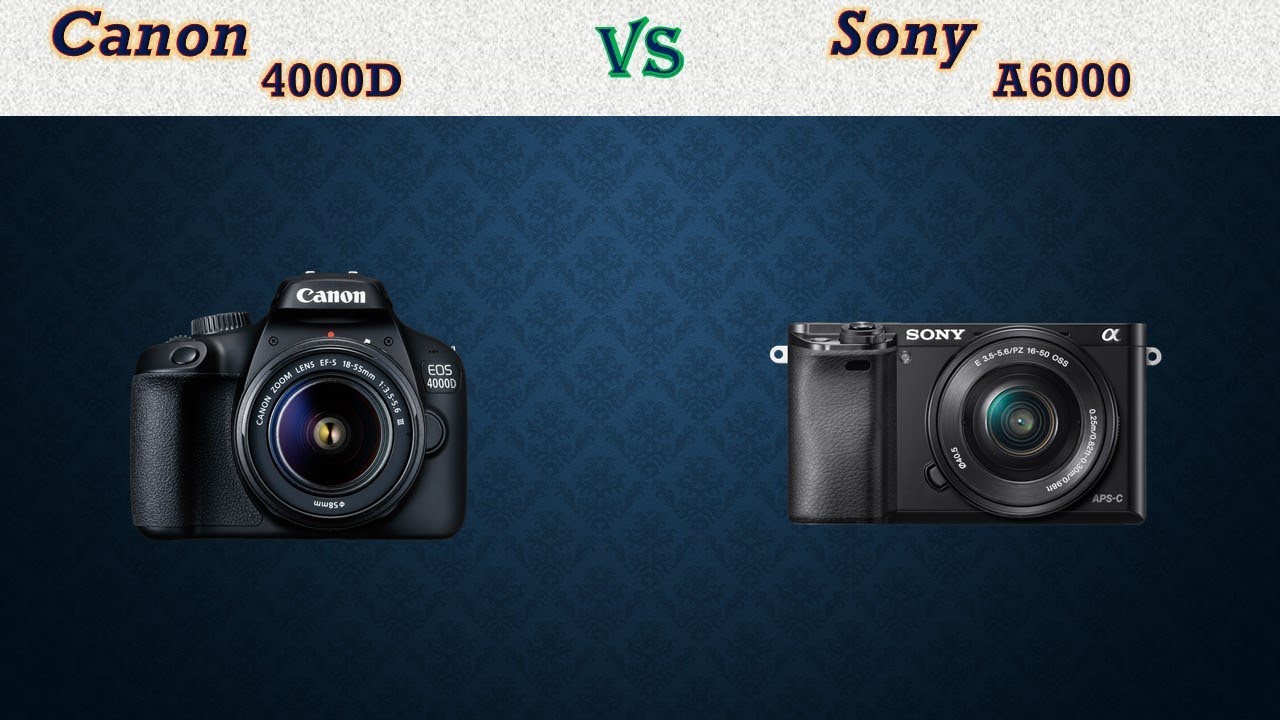 Mark 4 vs Sony a7 3. Sony a7 III 6000 × 4000. Sony a6400 и Canon 750d сравнение. Sony canon сравнение