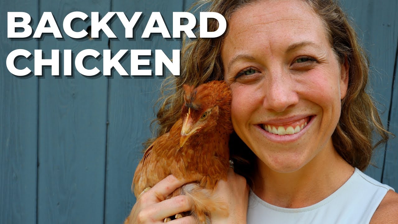 Best Parts of Raising Backyard Chicken YouTube