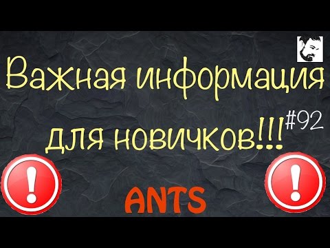 Основы для начинающего мирмикипера // муравьи // с чего начать? // #92