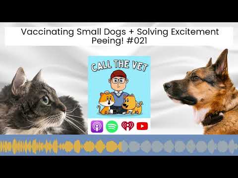 Vaccinating Small Dogs + Solving Excitement Peeing! #021