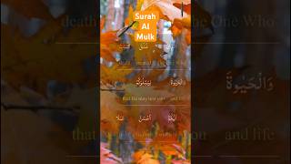 SurahAl Mulk Ayat 2 !Arabic english, urdu translation with Islamic #story  #authentictranslation