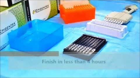 Global DNA Methylation 5mC Quantification ELISA for Epigenetic Research