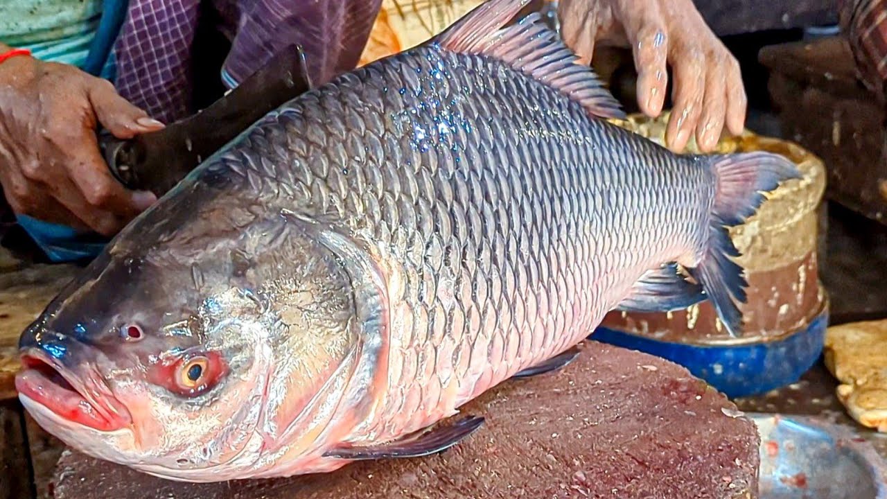 Live 10kg Big Catla Fish Cutting | Amazing Fish Cutting Skills in Bangladesh | Fish Market
