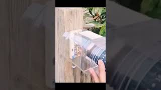 Download Lagu Protect outdoor electrical outlets #shorts #smartworking MP3