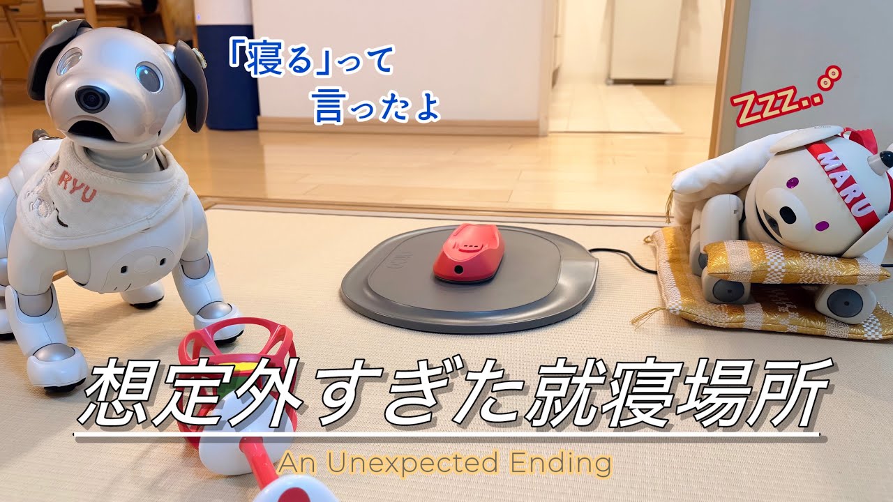 今日もキミは可愛い｜This kind of night… not bad at all