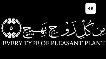 كروما شاشه سوداء قرآن كريم الخط جديد الدقة 4K سورة الحج القارئ ياسر الدوسري وترى الأرض ها مدة