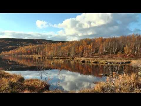Video: Izleti v Murmansk