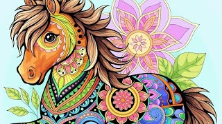 Color by Number|Mandala|Horse|Year of Horse|Paint by Number|Color Oasis