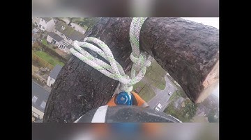 Pine tree over cottage using the safebloc and double block neg. Rigging