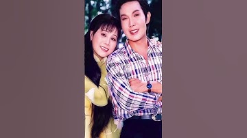 Ns Vũ Linh Tài Linh / Lang Thang Vlog