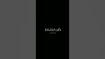 {فويل للمصلين} #كرومات_شاشه_سوداء #الشيخ_ماهر_المعيقلي #سورة_الماعون #كرومات_قرآن#quran