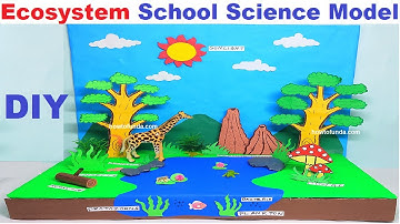 ecosystem school science model for exhibition - diy - simple and easy | howtofunda