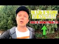 Беженцы из Украины в Чехии / Как получить беженство в Чехии / Украинцы в Чехии