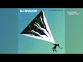 Dj shadow  the mountain will fall full album hq audio
