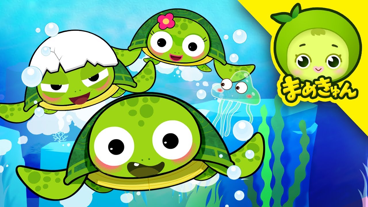 かめのうた | どうぶつのうた | 子供の歌 | turtle song | まめきゅん