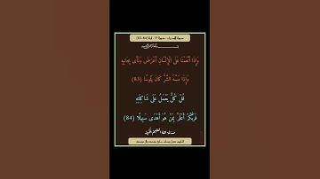 سورة الاسراء - سورة 17 - اية (84-83)