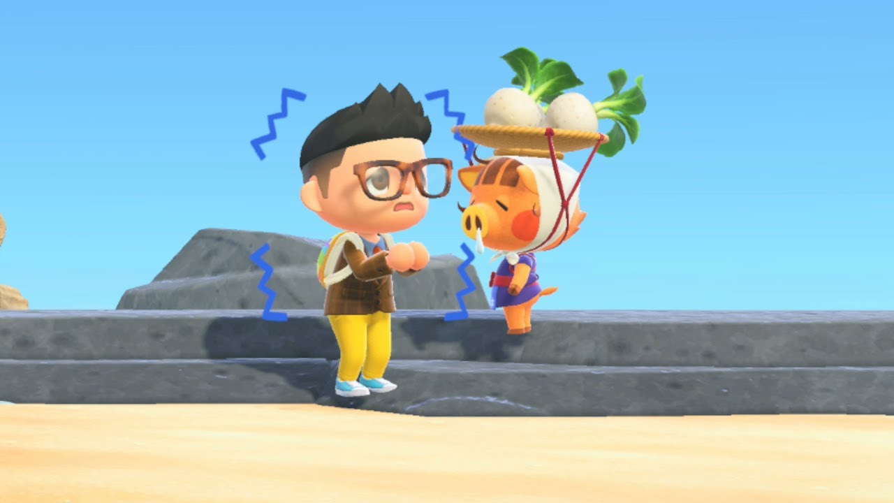 Animal Crossing New Horizons First Time Playing The Stalk Market