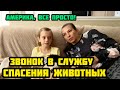 США. ПОЗВОНИЛИ В СЛУЖБУ СПАСЕНИЯ ЖИВОТНЫХ.