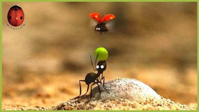 Әйелдер трусикиіндегі еркектердің порносын қараңыз Смотреть Мэнди Мур порно видео онлайн