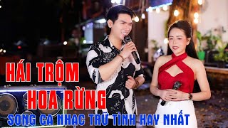 Hái Trộm Hoa Rừng - Song Ca Nhạc Trữ Tình Hay Nhất - Minh Vũ ft Vũ Nguyên Thảo