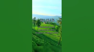 واتس أب قرآن كريم القارئ ياسر الدوسري من سورة (القيامة)