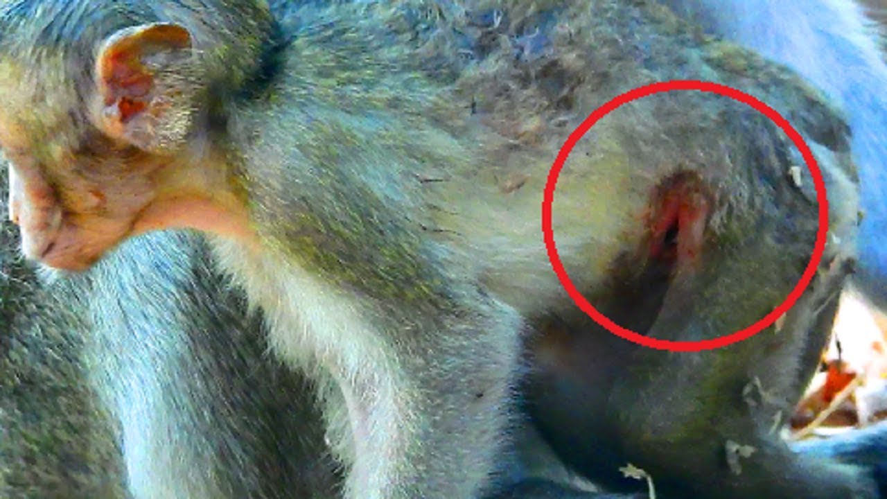 Worry on this point !! An injure so serious, Janna can't walking cos really deeply, Painful baby