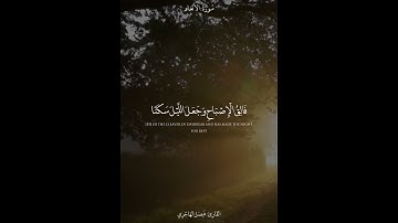{۞ إِنَّ اللَّهَ فَالِقُ الْحَبِّ وَالنَّوَىٰ ۖ} ترتيل إبداعيّ للقارئ فيصل الهاجري من سورة الأنعام