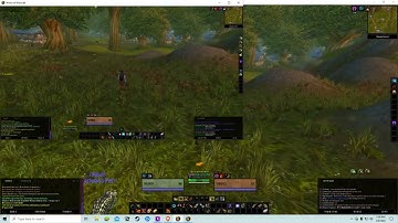Turtle-Wow: Multiboxing is allowed, but no 3rd party programs.