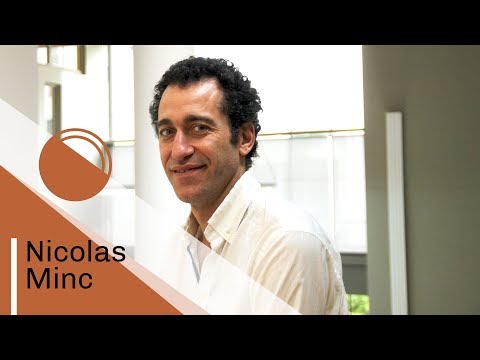 Nicolas Minc, Chercheur