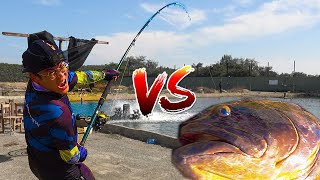 The Most Powerful Fish in Taiwan! Fighting with Goliath Grouper Monster! Giant Grouper!