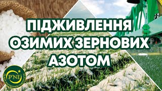 Весняне підживлення озимих зернових АЗОТОМ 2024: усе, що необхідно знати