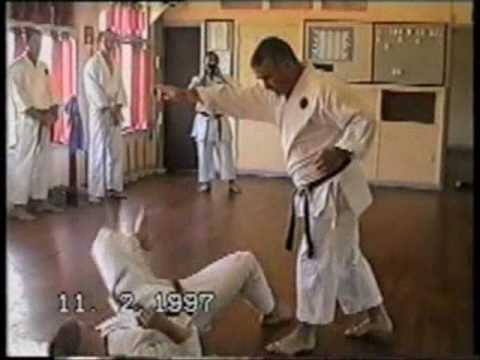 IOGKF Yakusoku Kumite