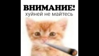 уэээээ вторая попытка стримить