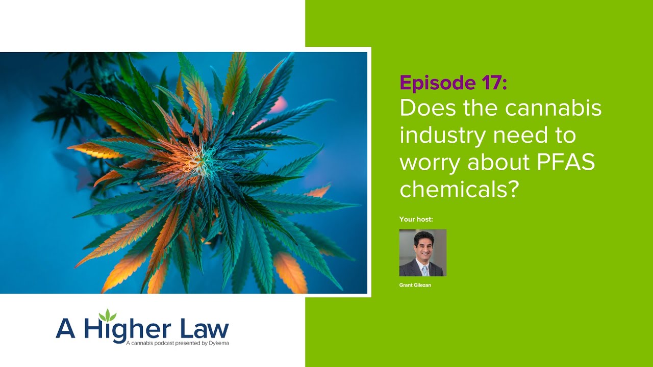 Does the cannabis industry need to worry about PFAS chemicals? YouTube